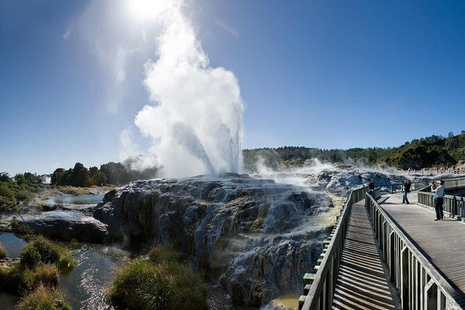 Private Rotorua Tour from Tauranga (Max 11) - A Private Rotorua Experience from Tauranga: What You Need to Know