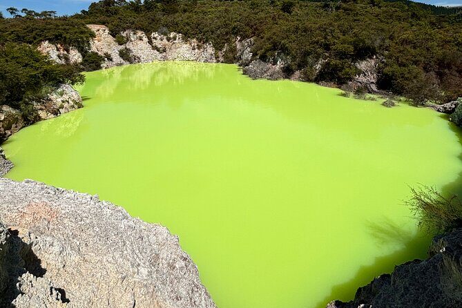 Private RotoruaTour Waiotapu & Redwood forest & spa from Auckland - An In-Depth Look at the Private Rotorua Day Tour