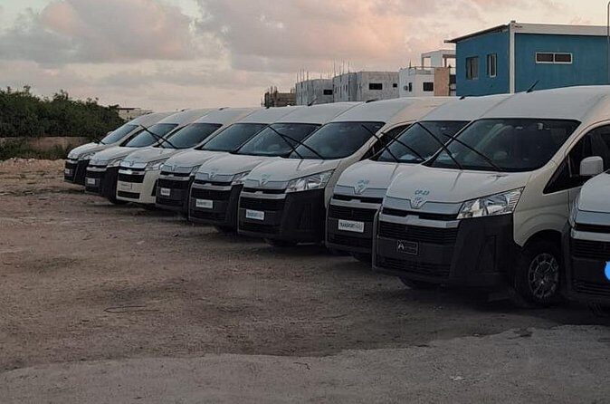 Private Roud-Trip Punta Cana Airport, to Punta Cana Hotels - Who Is This Tour Best For?