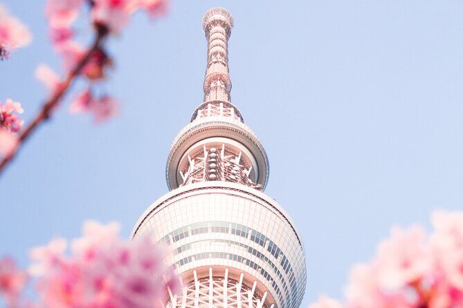 Private Round Trip Transfer from Haneda/Narita Airport to Tokyo. - Making the Most of Your Airport Transfers in Tokyo: A Practical Review of Drive81’s Private Round Trip Service