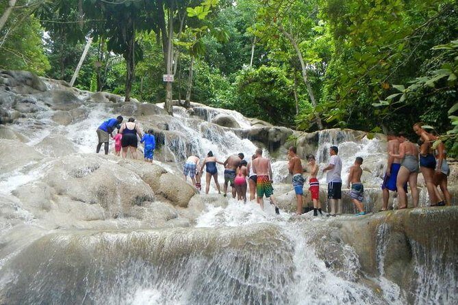 Private Round Trip Transfer to Dunns River Climb and Zipline over the Falls! - An In-Depth Look at the Dunn’s River Climb and Zipline Tour