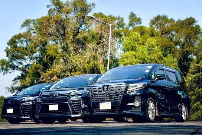 Private Roundtrip Airport Transfer to Excellence Oyster Bay - Quick Overview of the Private Roundtrip Airport Transfer to Excellence Oyster Bay