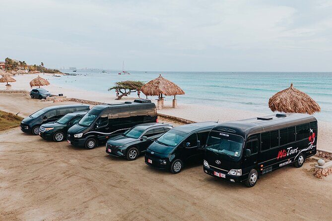 Private roundtrip Airport Transfers in Aruba - Who Would Benefit Most from This Service?