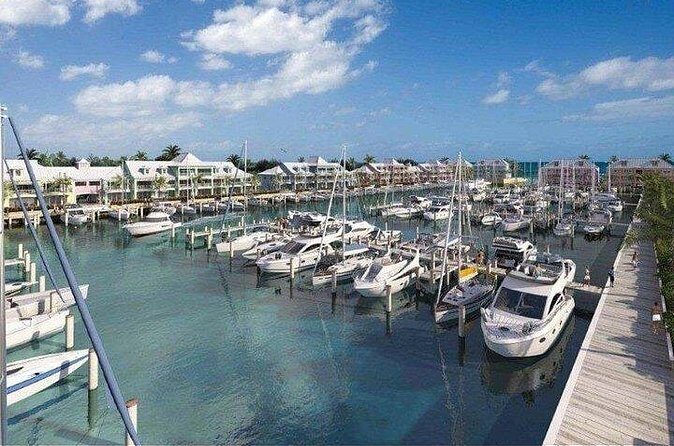 Private Roundtrip Minibus Transfer to Palm Cay - Final Verdict