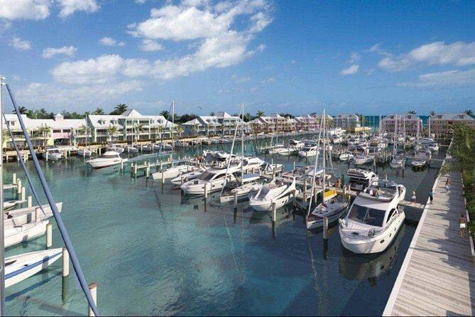 Private Roundtrip Minivan Airport Transfer to Palm Cay - Quick Overview: What This Private Transfer Offers