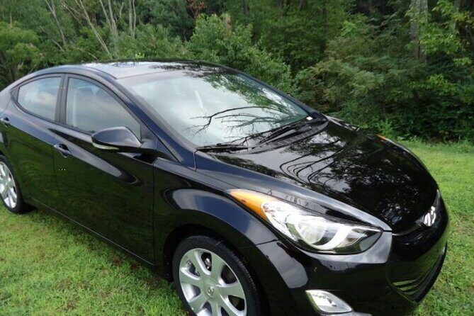 Private Roundtrip Minivan Airport Transfer to Palm Cay - Who Should Book This Transfer?