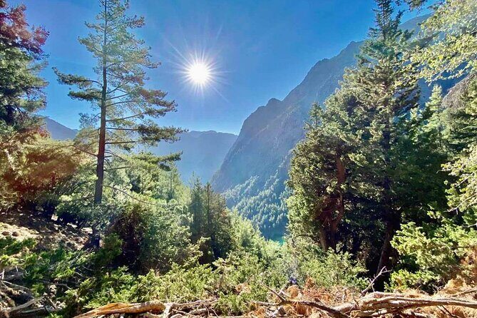 Private Roundtrip Transfer from Chania to Samaria Gorge Park - Who Should Consider This Tour?