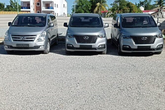 Private Roundtrip Transfer from Punta Cana Airport to Hotels - Key Points