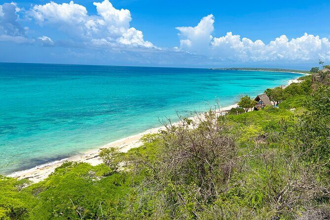 Private Safari Bahía de las Águilas and Laguna de Oviedo - Final Thoughts: Who Should Consider This Tour?