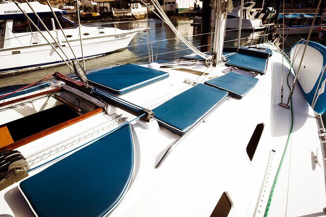 Private Sailboat tour in Cabo San Lucas with Papillon Yachts - Final Thoughts