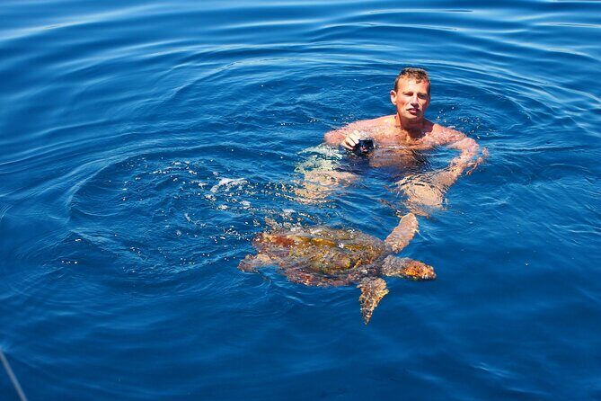 Private Sailing - dolphin Experience from Estepona - drink & food - FAQs