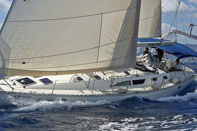 Private Sailing Through The Bay of Palma - In-Depth Review