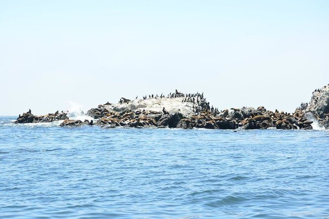 Private Sailing Tour of Bodega Bay - In-Depth Review of the Bodega Bay Private Sailing Tour