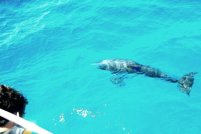 Private Sailing Tour of Pirate Waters and Shipwrecks - A Deep Dive into the Private Sailing Adventure