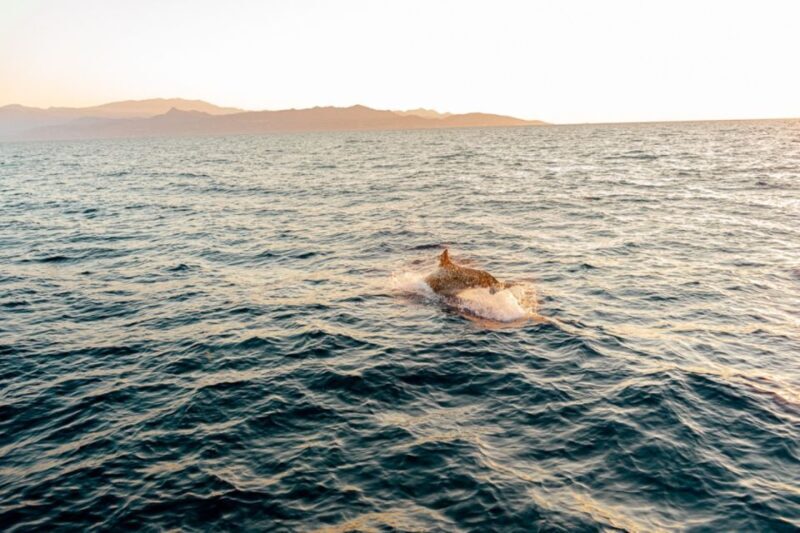 Private Sailing Trip from Heraklion to Dia island - Who Is This Trip Best For?