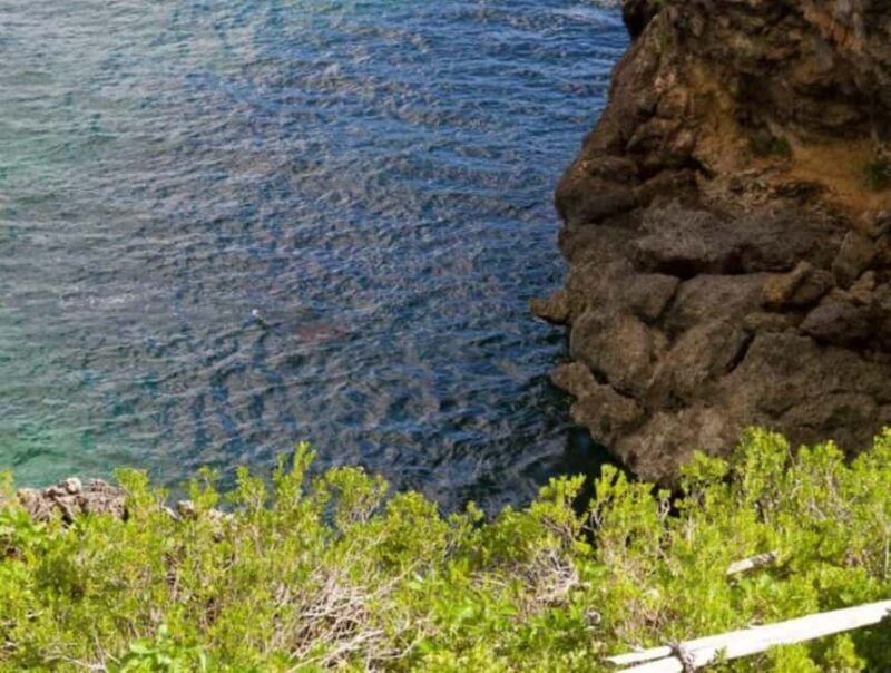 Private: Samana Adventure Cayo Levantado Kayak Snorkel Tour - What to Expect on Your Samana Adventure