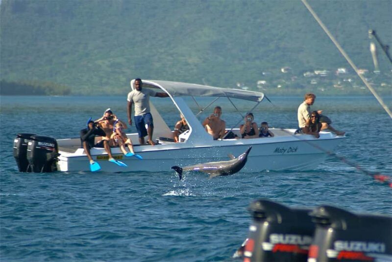Private: Samana: Bay of Samaná Whale Watching Experience - Final Thoughts