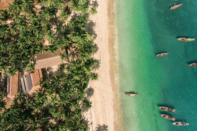 Private: Samaná: Cayo Levantado Day Trip with Lunch & Drinks - Final Thoughts: Who Will Love This Experience?