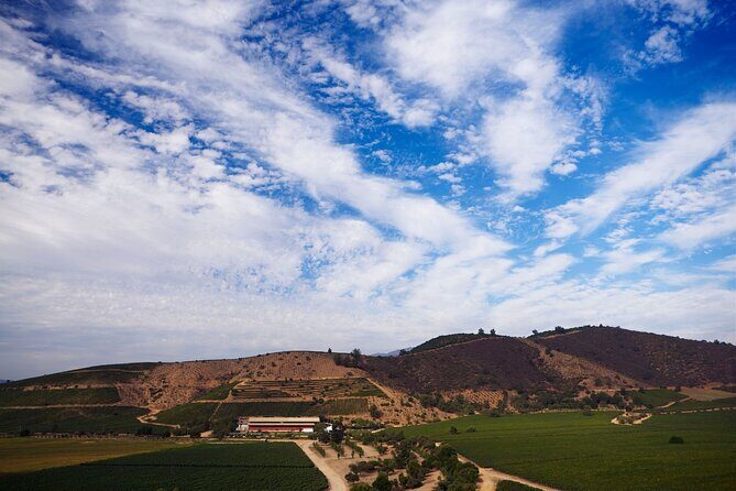 Private San Antonio Port, visit Chocalan Winery & Transfer Hotel - Scenic Return and Urban Exploration