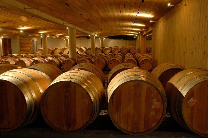 Private San Antonio Port, visit Chocalan Winery & Transfer Hotel - Final Thoughts: Who Should Consider This Tour?