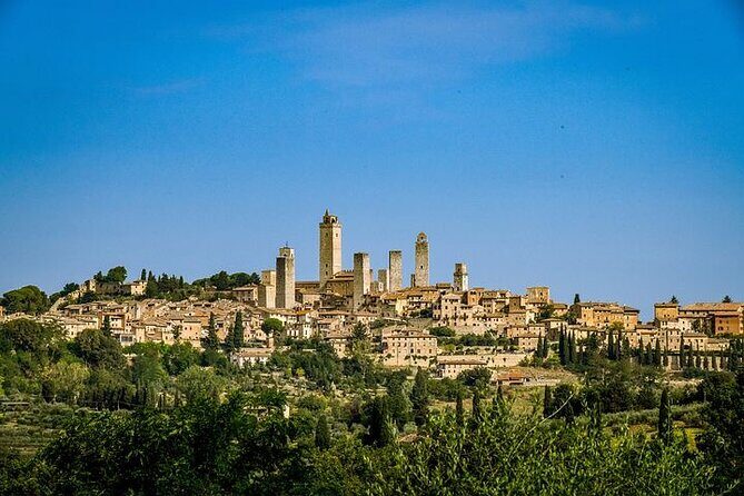 Private San Gimignano Wine Tour from Livorno Port - Discovering San Gimignano and Volterra in Style