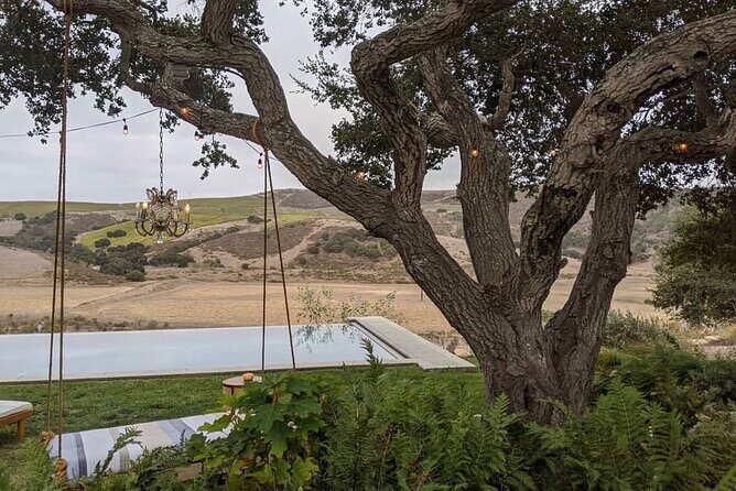 Private Santa Ynez Valley Wine Tasting Tour for up to 4 guests - Exploring Santa Ynez Valley: A Private Wine Adventure