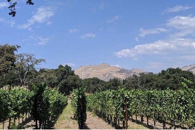 Private Santa Ynez Valley Wine Tasting Tour for up to 4 guests - Potential Drawbacks and Considerations