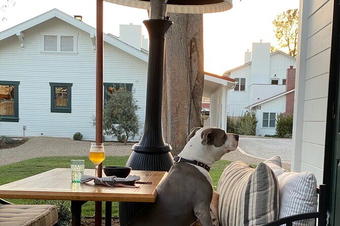 Private Santa Ynez Valley Wine Tasting Tour for up to 4 guests - Final Thoughts: Is it Worth It?