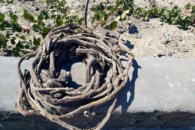 Private Santorini Wine Tasting Tour, 3 Wineries and Light Bites - Exploring the Itinerary in Detail