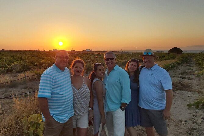 Private Santorini Wine Tasting Tour, 3 Wineries and Light Bites - Who Should Consider This Tour?