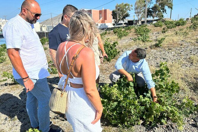 Private Santorini Wine Tour: Explore Top 3 Wineries & Best Views - Key Points