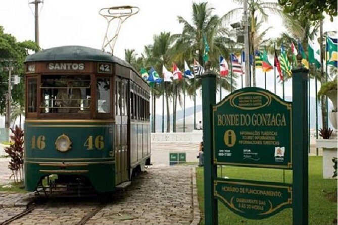 Private Santos and Guaruja Tour from São Paulo - Who Should Consider This Tour?