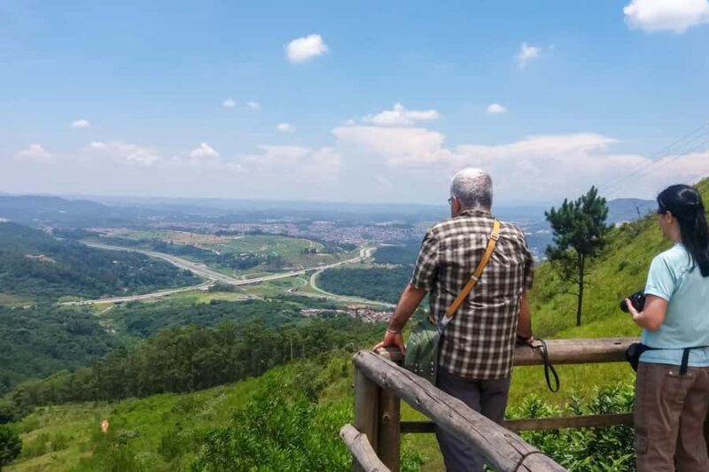 Private São Paulo City Tour - Exploring São Paulo with a Private Guide: What to Expect