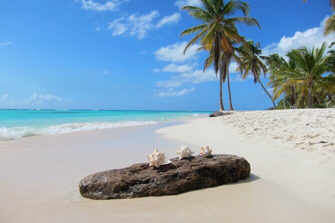 Private Saona Island Catamaran Tour from Punta Cana - Final Thoughts