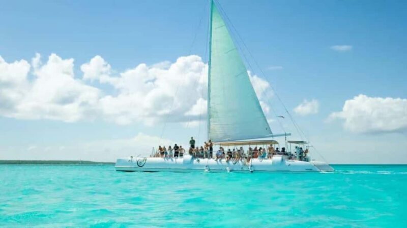 Private Saona Island Catamaran Tour with Lunch - Key Points