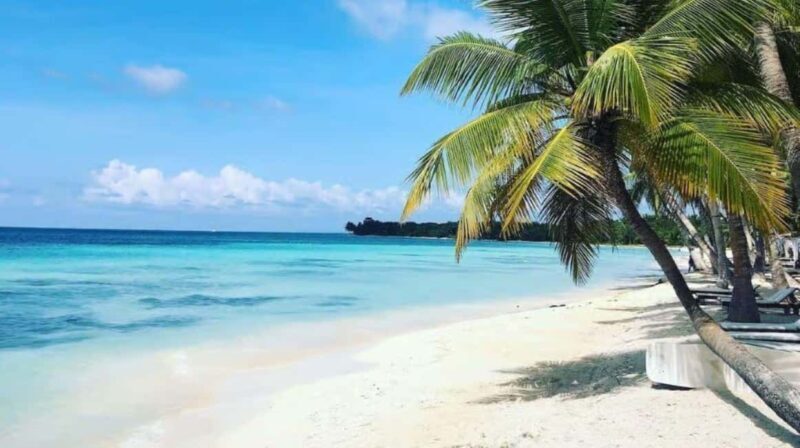 Private Saona Island Catamaran Tour with Lunch - FAQs