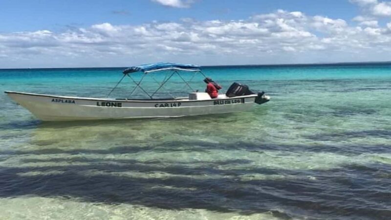 Private: Saona Island Day Trip with Lunch & Cruise - Discovering Saona Island: A Deep Dive