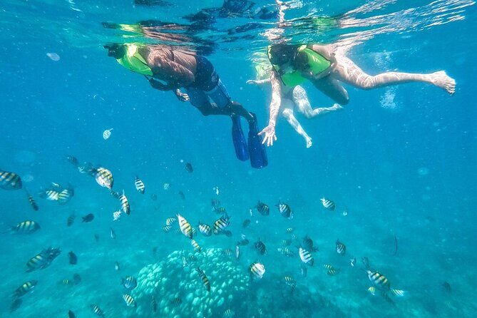 Private Saône Island by Luxury Boat - What the Tour Includes and What to Keep in Mind