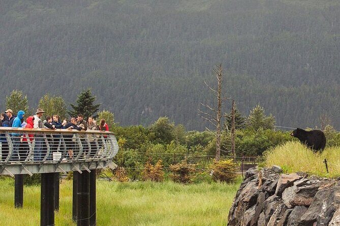 Private Scenic Turnagain Arm Glacier Tour from Anchorage - Why This Tour Works for You