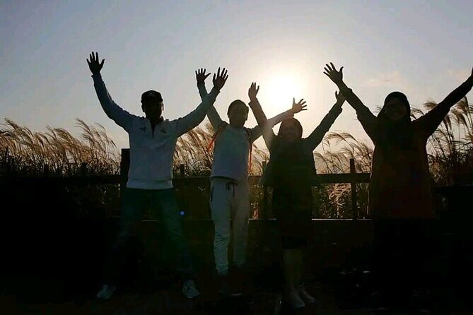 Private schedule Day Tour With Local Taxi Driver in jeju island - Who Will Love This Tour?