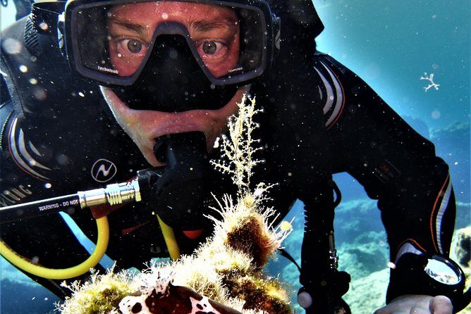 Private Scuba Diving Experience in Mandraki - In-Depth Review of the Private Scuba Diving Experience in Mandraki
