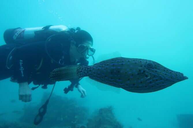 Private Scuba Diving Expert-Led Excursion Training with Tour - FAQ: Practical Questions About the Tour