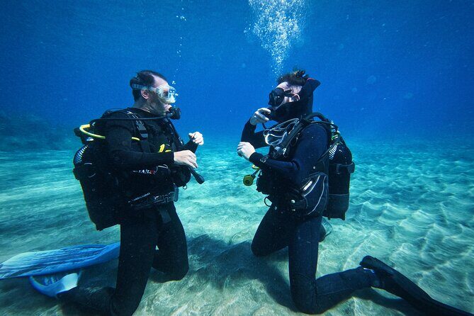 Private Scuba Diving in Tenerife  Certified Instructor & Photos - Authentic Experiences from Real Travelers