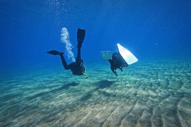 Private Scuba Diving in Tenerife  Certified Instructor & Photos - Who Will Love This Experience?