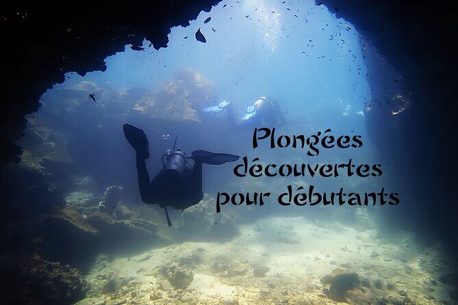 Private Scuba Diving Initiation with Licensed Guide - Final Thoughts