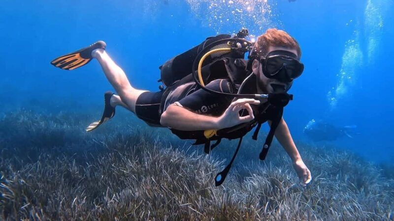 Private: ScubaDoo Underwater Scooter and Snorkel Tour - Key Points