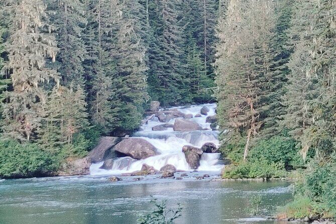 Private Seaplane & Wilderness Hiking Tour to Tongass NF - Key Points