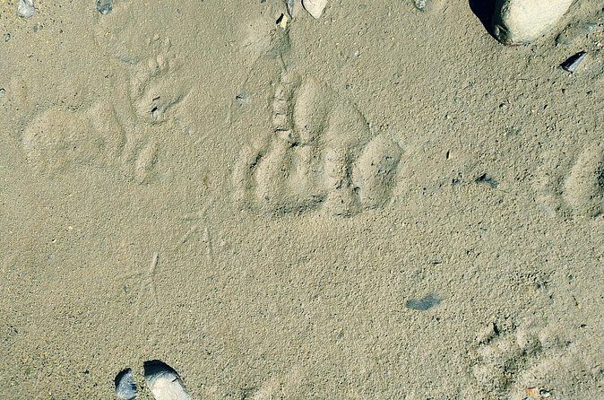 Private Seaplane & Wilderness Hiking Tour to Tongass NF - Final Thoughts