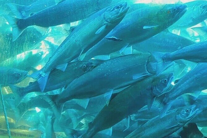 Private Seattle History and Landmarks Tour - A Closer Look at the Seattle Private Landmarks Tour