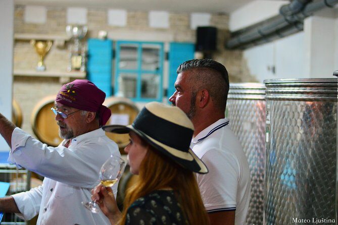 PRIVATE -Secrets of Dalmatian karst & wine experience - Who Should Consider This Tour?